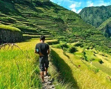 trekking por los arrozales de Banaue