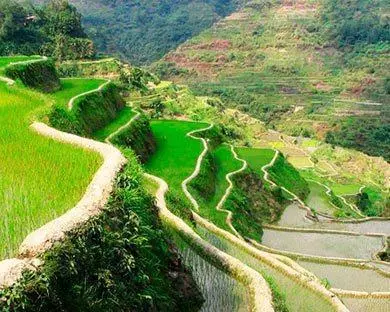 Banaue