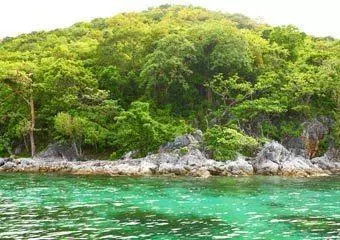 Flower Island