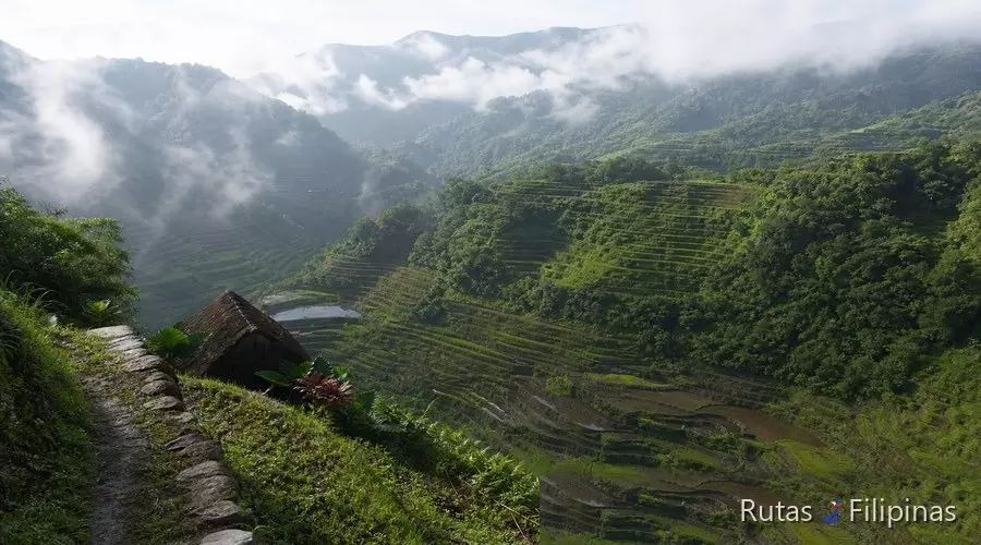 Terrazas de arroz de Banaue en la Cordillera filipina Terrazas de arroz de Banaue en la Cordillera filipina