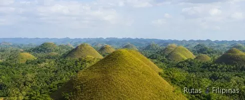 Excursión privada en Bohol Excursión privada en Bohol