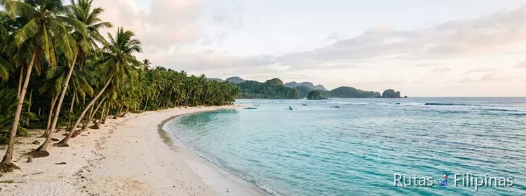 Playa tropical y palmeras en Siargao, Filipinas Playa tropical y palmeras en Siargao, Filipinas