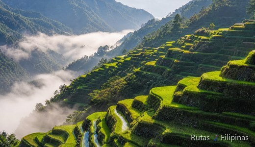 Banaue y Manila — Luzón