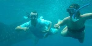 Nadar con tiburones ballena en Filipinas